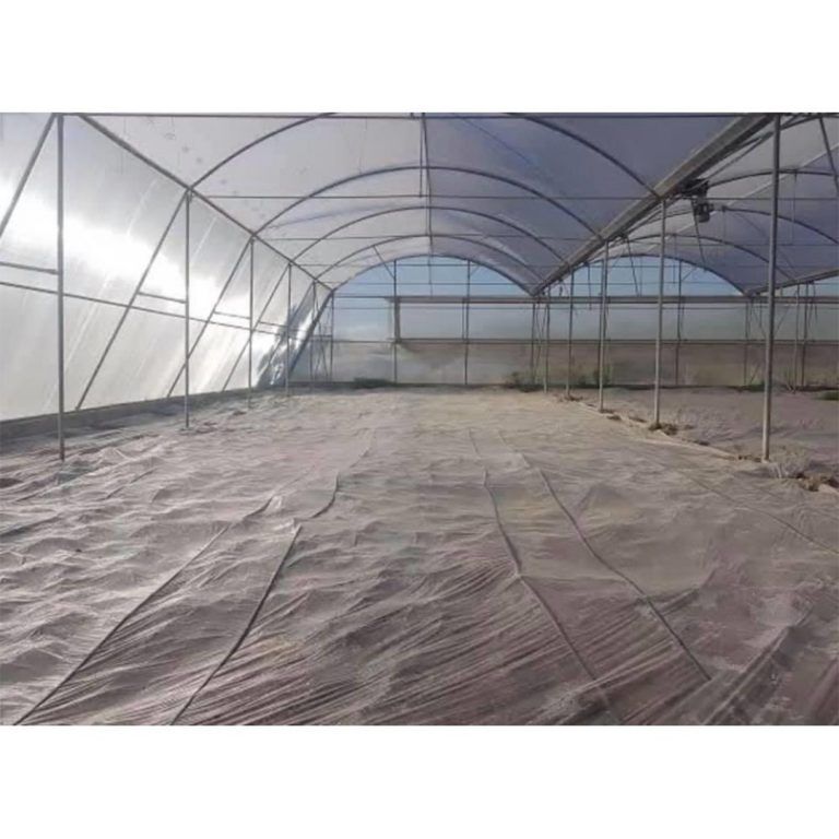 Solarizasyon Naylonu