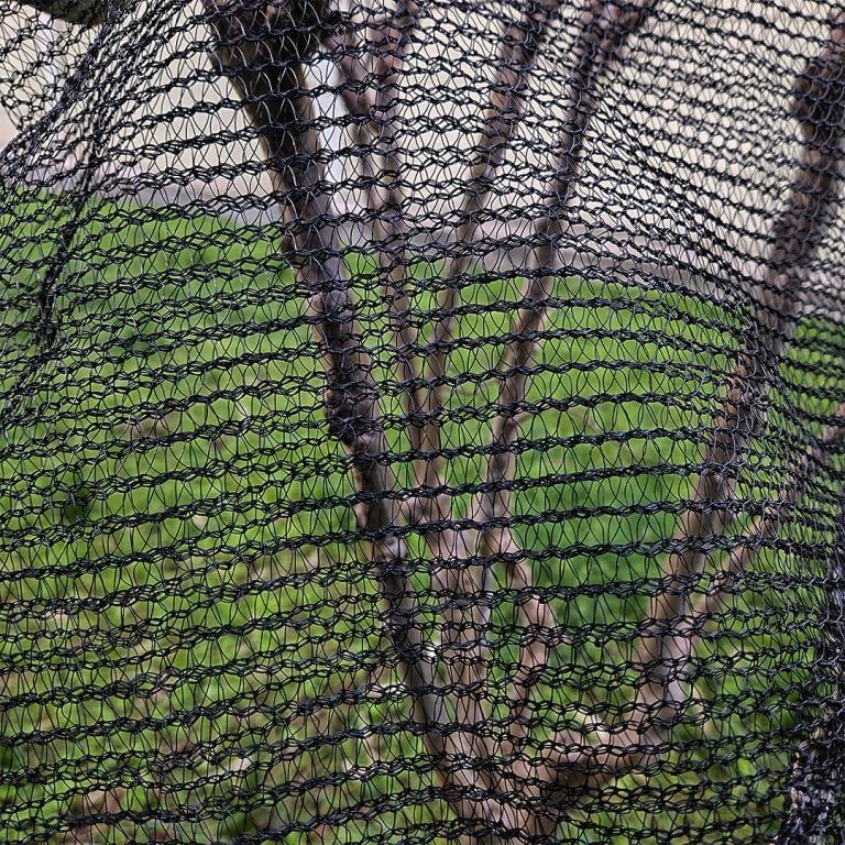 Kedi – Kuş Koruma Tülü