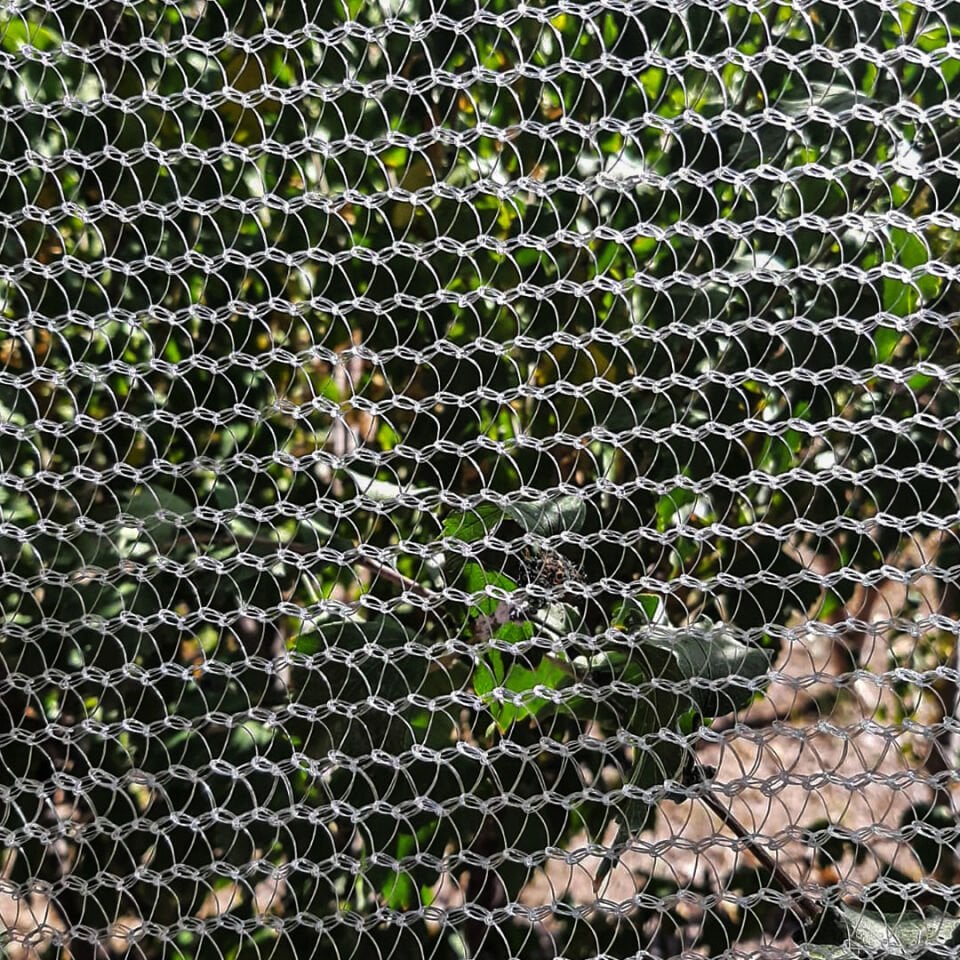 Kedi – Kuş Koruma Tülü