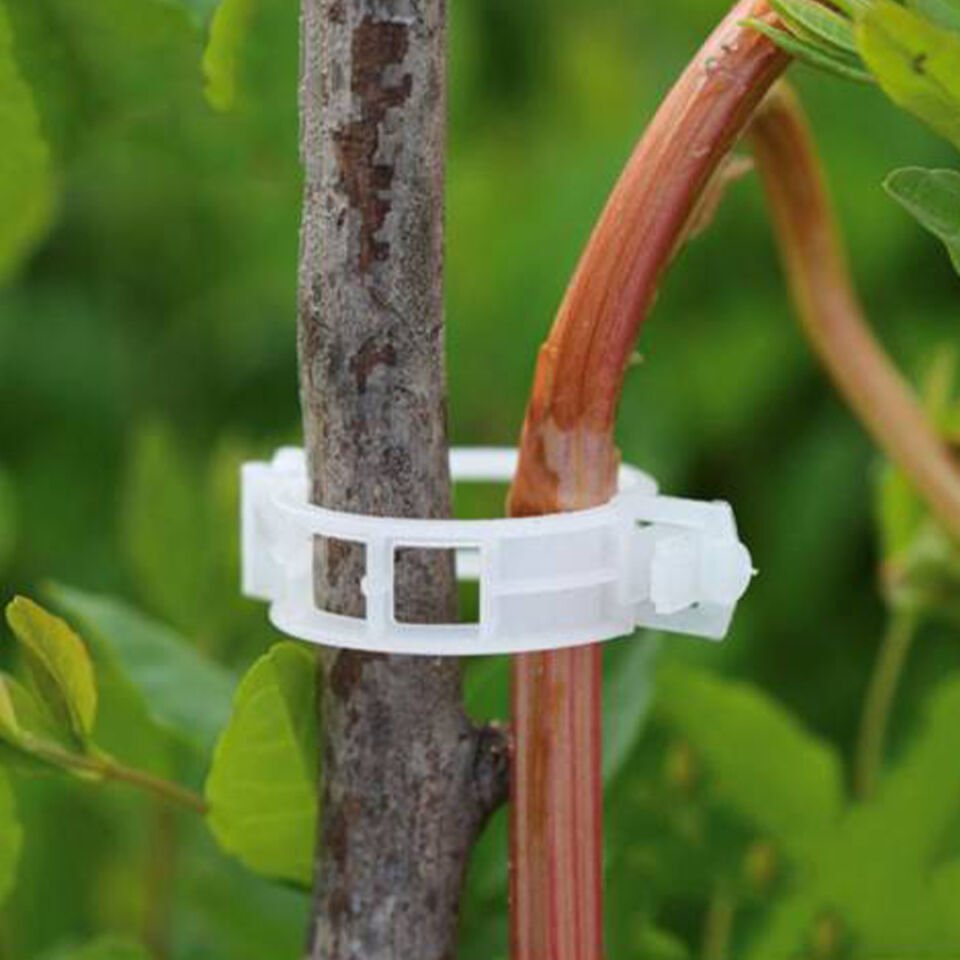 Bitki Klipsi Granül