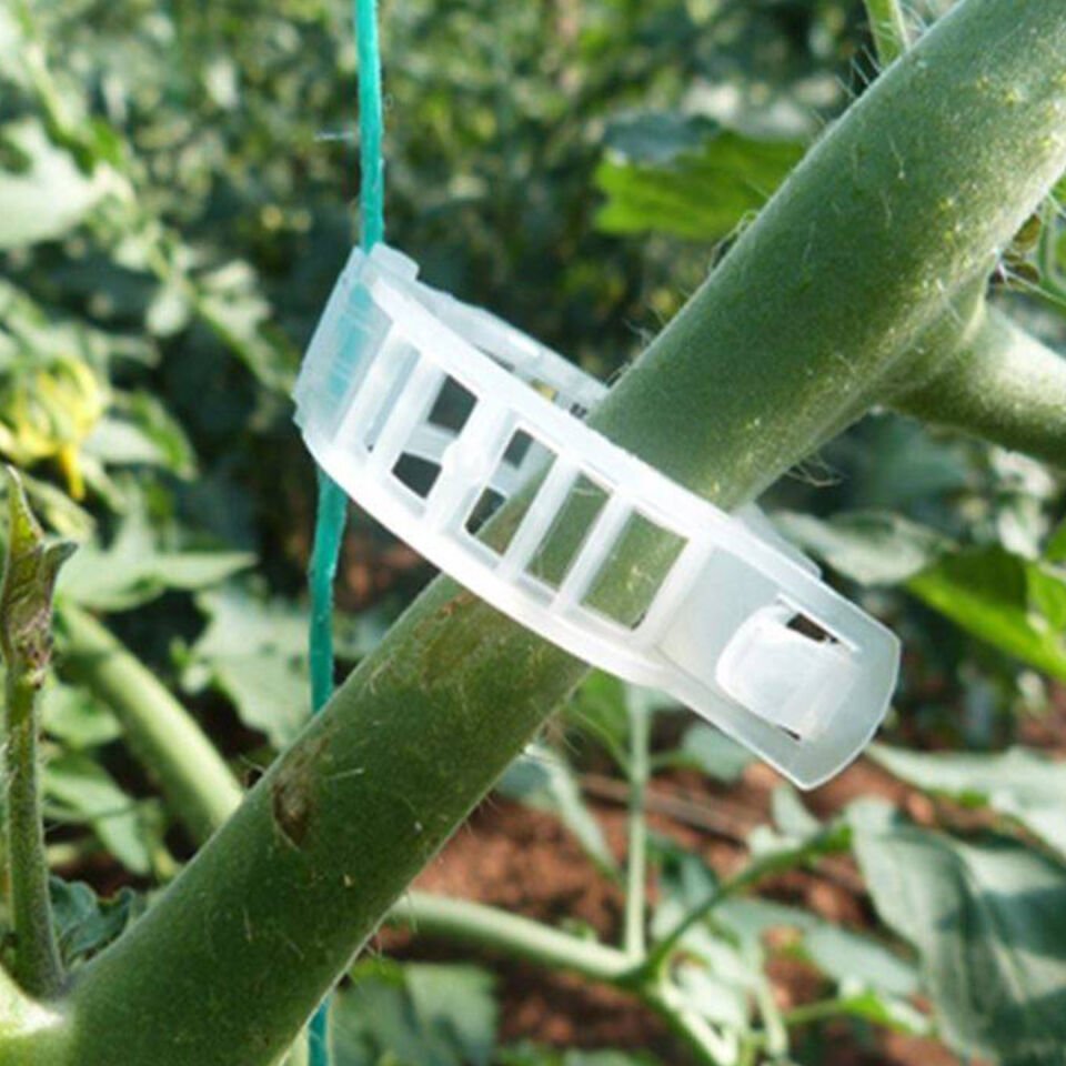 Bitki Klipsi Granül