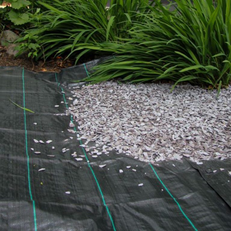 Taban Örtüsü (Jüt)